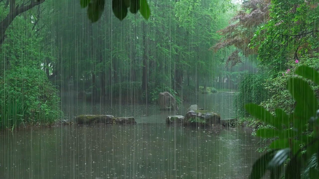 The beautiful little river is raining(394) , sleep, relax, meditate, ASMR, Real Shot