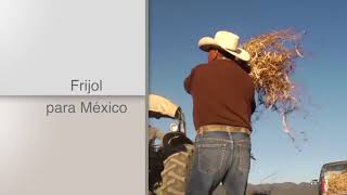TITULARES AGRONOTICIAS sie7e PROGRAMA 207