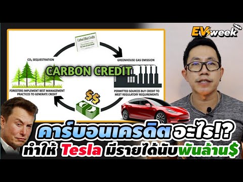 ทำไมคาร์บอนเครดิตเกี่ยวกับรถไฟฟ้า!? แล้วเทสล่าได้ประโยชน์อะไร | Carbon Credit vs Tesla
