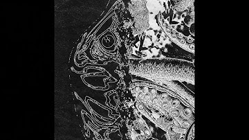 Klutommestra - Forcipe [MHLAB001]