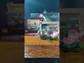 LEGO: Floral Picture frame #lego #stopmotion