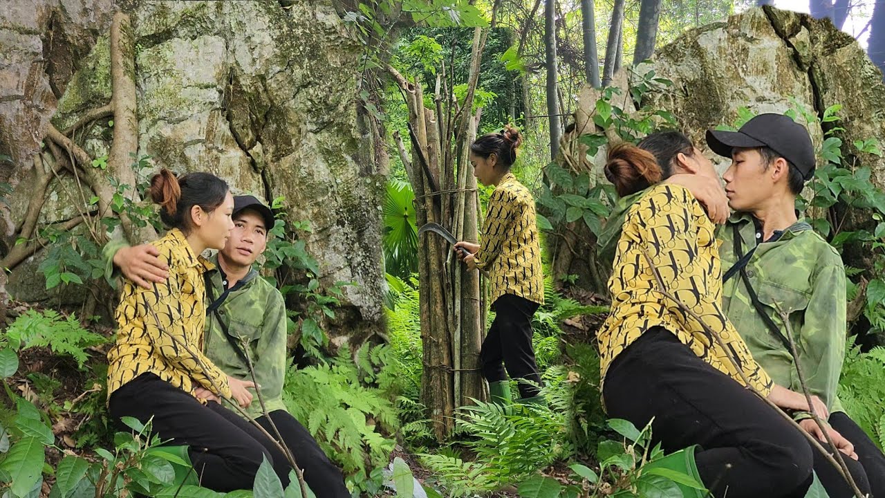 single mother goes to the forest to collect firewood and harvest fruit ...