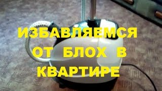 Как избавиться от блох в квартире #какизбавитьсяотблох