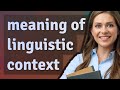 Linguistic context  meaning of linguistic context