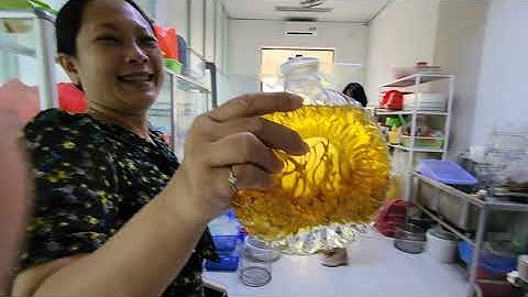 Tra Vinh University, Vietnam produces Macapuno coconut seedlings by embryo culture (kelapa kopyor)