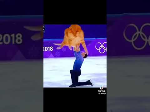 ¯\_(ツ)_/¯