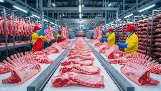 Inside the Lamb Steak Factory: From Animal Sections to Premium Racks & Loins