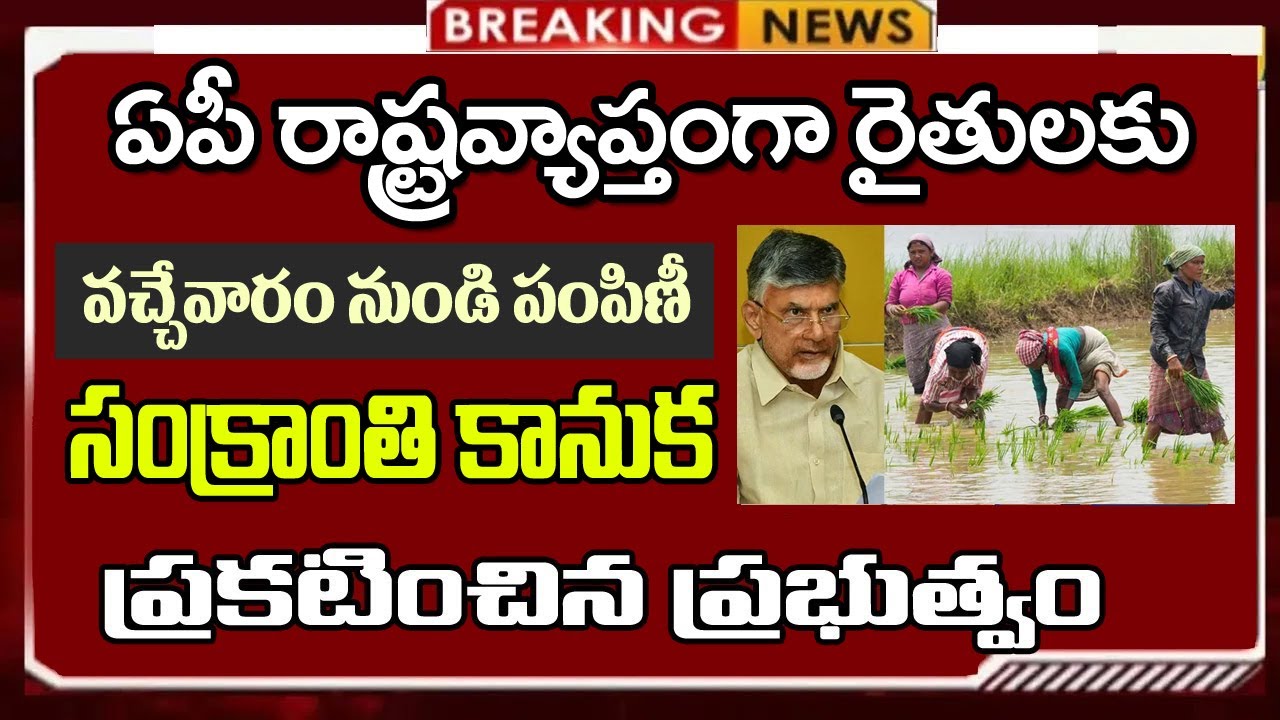 రైతులందరికీ సంక్రాంతికి కానుక || వచ్చేవారం నుండి పంపిణీ  | 