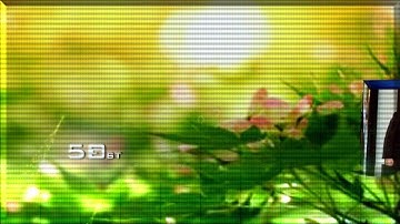 After Effects: 3D cube intro