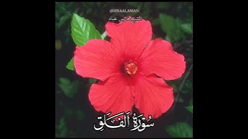 سورة الفلق | الشيخ فارس عباد،  استغفر الله العظيم واتوب اليه، حالات واتساب