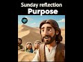 Sunday reflection purpose. #mindset #lifeskills #⃣