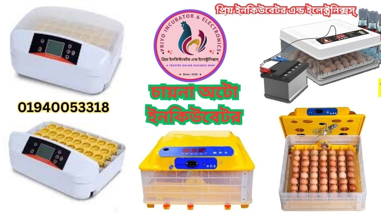 China Full Auto Incubator || চায়না অটো ইনকিউবেটর ৩২ পিস ডিম ক্যাপাসিটির || 01940053318