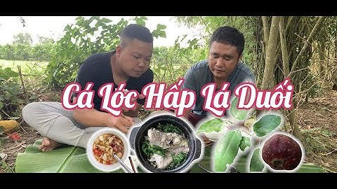 #Vlog 06 - Cá Lóc Hấp Lá Duối - Món Ngon Khoái Khẩu Của Người Miền Tây - Thanh Xuân Vlog