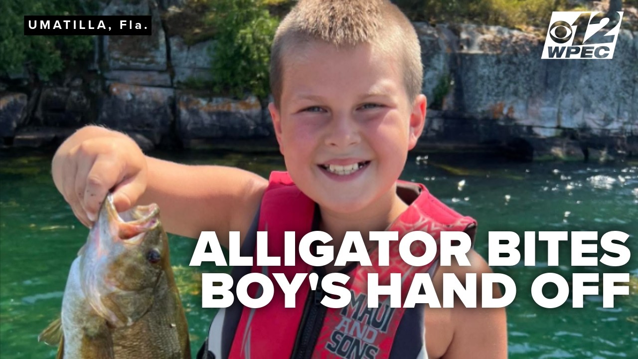 Third Florida alligator attack in 3 days leaves 11-year-old boy
