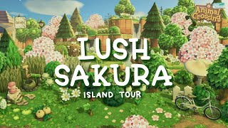 Lush Cherryblossom Forest Island Tour // Animal Crossing New Horizons