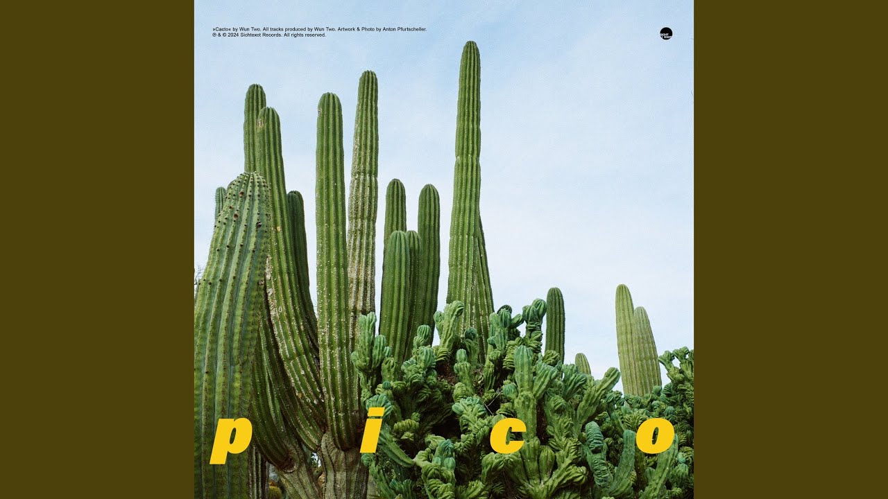 Watch pico on YouTube Watch pico on YouTube