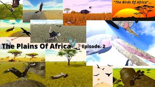 'The Plains Of Africa!' | Episode. 2 |  The birds of Africa