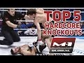 Top5 hardcore knockouts of m1 global