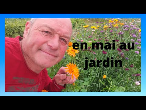 Vidéo: 9 Cultures Légumières Que Même Un Jardinier Novice Peut Cultiver