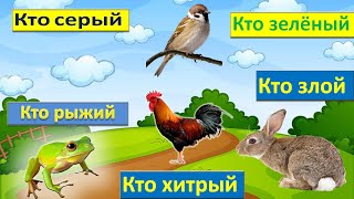 Кто рыжий, кто зелёный, кто серый, кто маленький, кто злой, кто хитрый