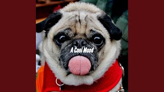 Superlative Music for Slacking Doggy