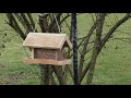 How to make a simple Bird Feeder