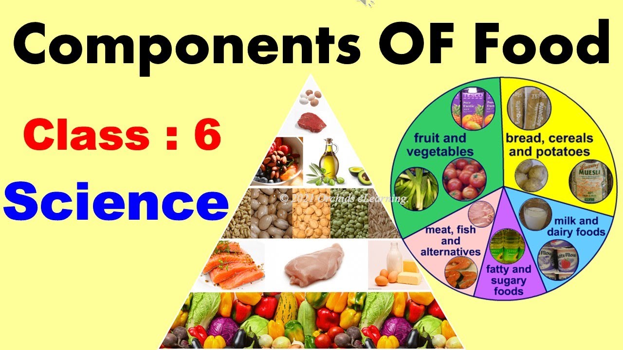 Components Of Food Full Chapter Class 6 Science Cbse Ncert