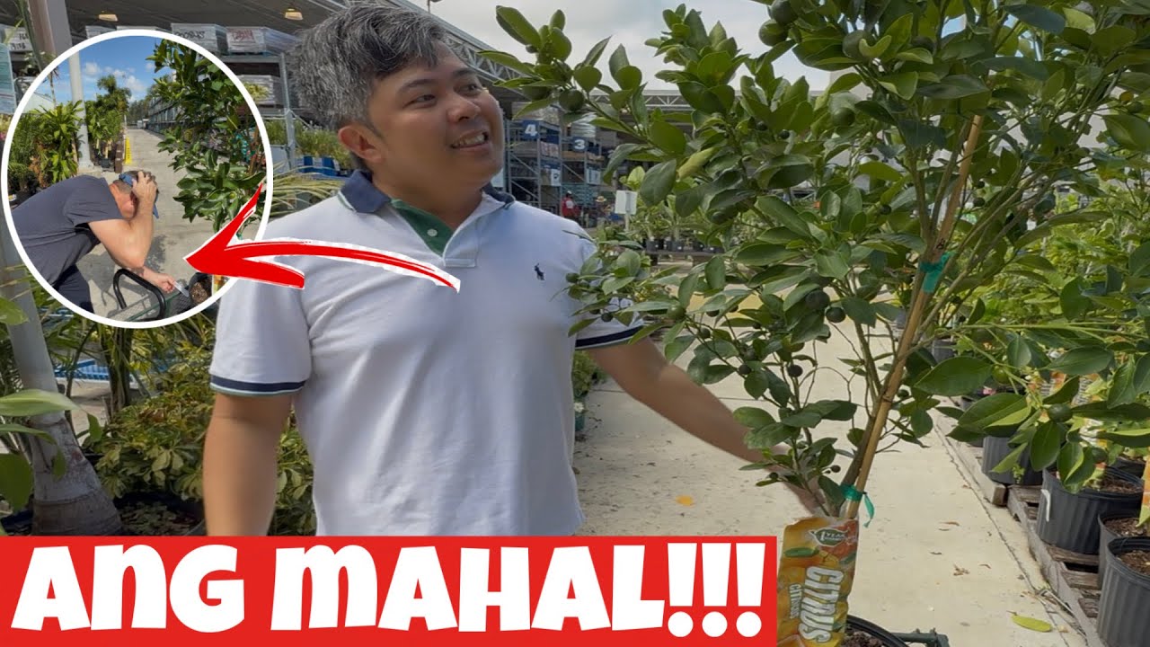Sa Wakas Nakabili Na Ako Ng Kalamansi Sa Amerika Halos 5000 Ang Pesyo 😭 Euhannes & John