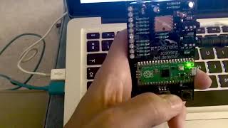 Demo : π•pistrelle Scanning Bat Detector