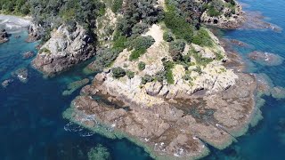 Spearfishing Auckland's Hauraki Gulf. Snapper Octopus Mussels and more!