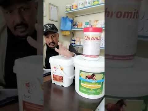 أحد الدروس للمدرب عزيز في فيتامينات الخيل