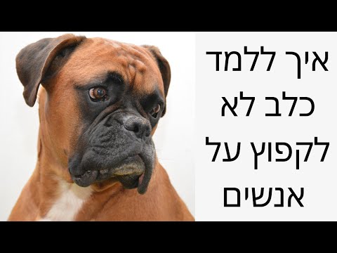 וִידֵאוֹ: 3 דרכים לתקן Underbite