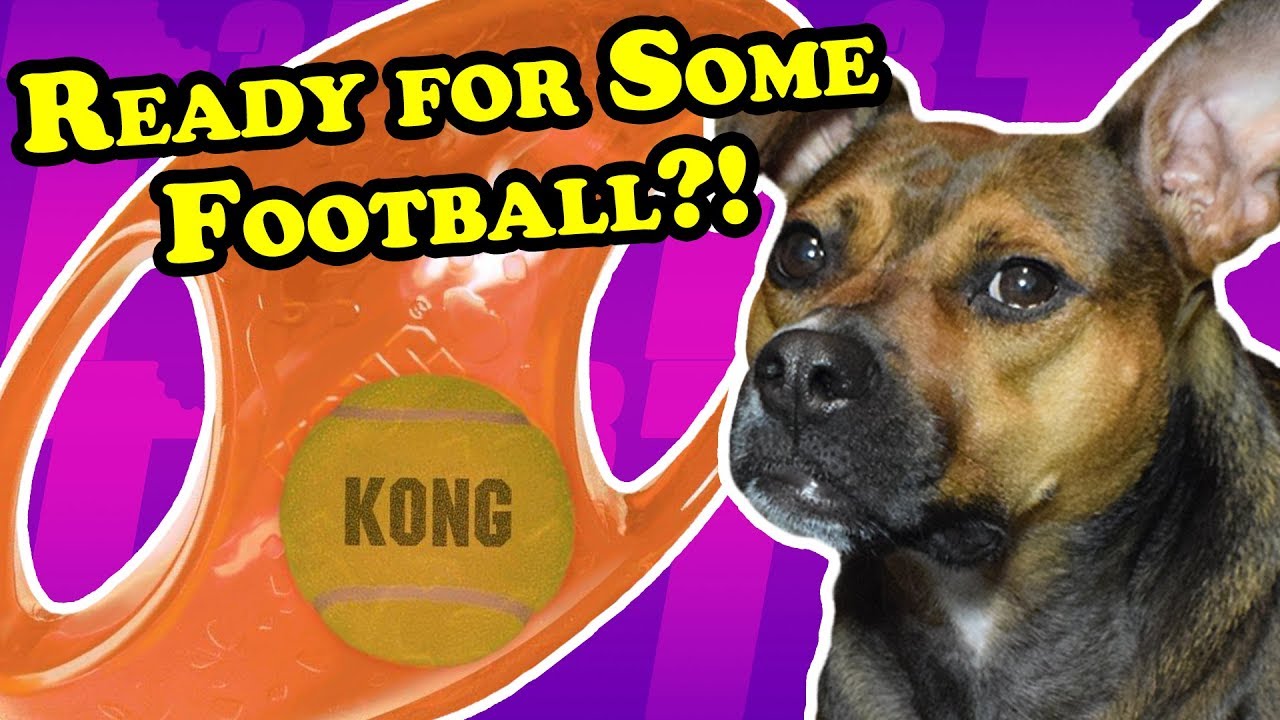 kong football dog toy