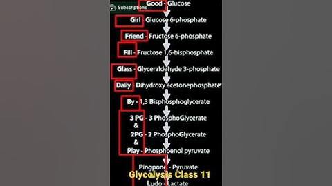 Best tricks to learn Glycolysis cycle ||#biology #short