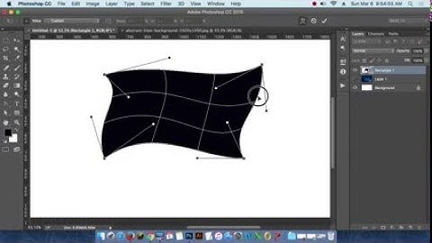 11th Class Batch 14 Graphics and Web UI design Bangla Training Tutorial