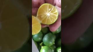 Small oranges flowers music vegetables viral youtube fypシ youtubeshorts