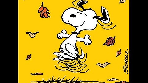 Syllabus & Canvas Intro