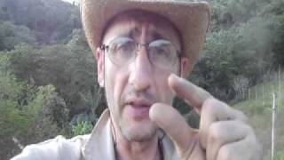 Asi esta nuestra huerta ecologica.