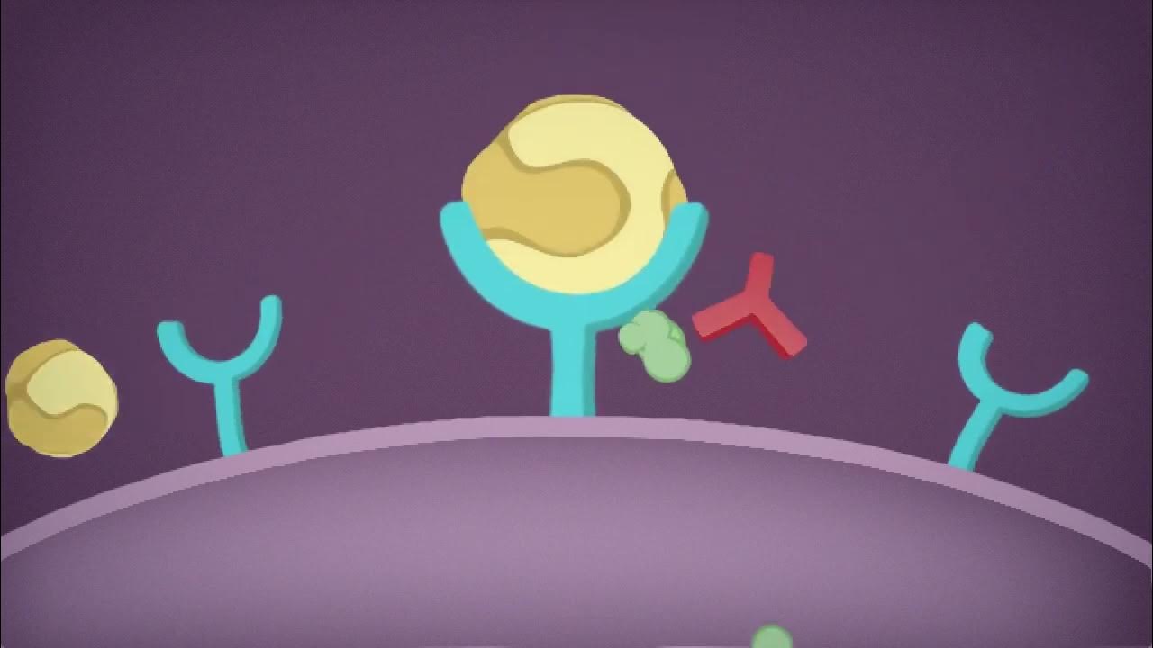 What is Repatha® evolocumab How Repatha® Works Differently YouTube