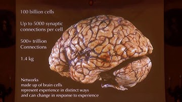 The Making, Keeping and losing of memory