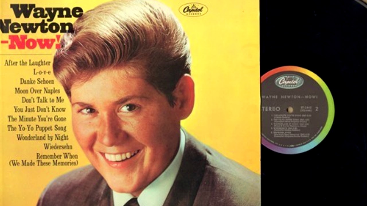 Wayne Newton Danke Schoen (Vinyl Record Rip from "Wayne Newton Now