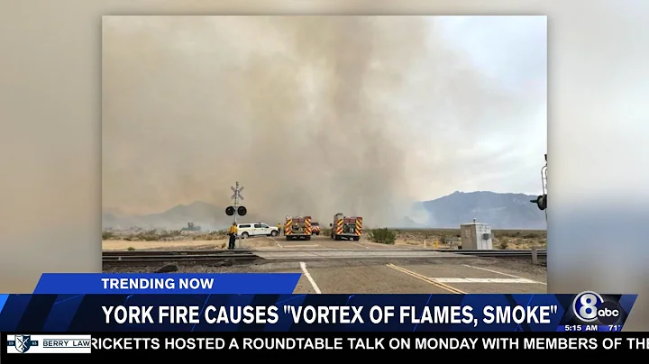 Chinese zoo denies its bear is a man in suit