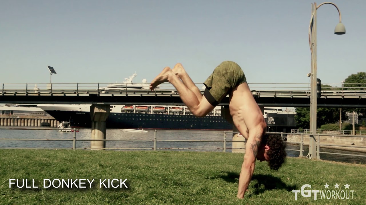 Animal Advance moves variations | mobility strength 2017