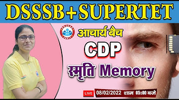स्मृति ( Memory ) | SUPERTET CDP | CDP for SUPERTET/DSSSB #6 | CDP Memory | CDP By Gargi Mam
