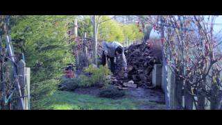 Living Through a Wake - Short Film