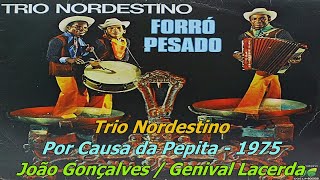 Trio Nordestino 1975 Por Causa da Pepita (Slideshow/Letra)