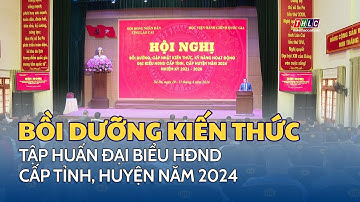 Tập huấn đại biểu HĐND tỉnh, huyện năm 2024 | THLC