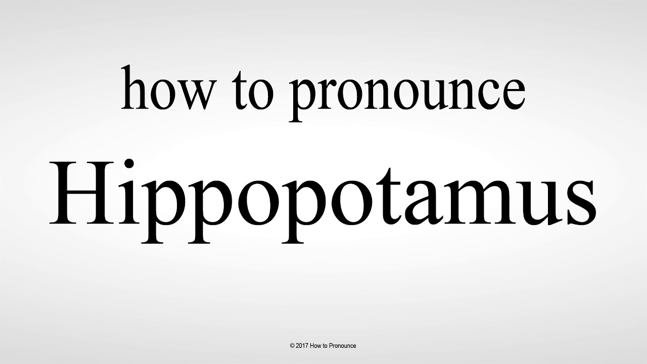 How To Pronounce Hippopotamus YouTube