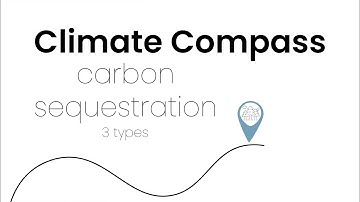 Climate Compass: Carbon Sequestration