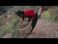 Collecting and cooking green leaves of nettles in traditional way